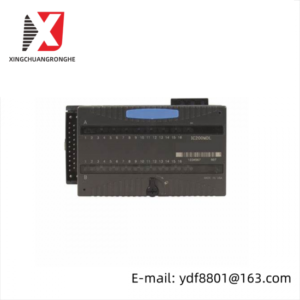 GE-FANUC IC200MDL650F Input Module; Producer: GE-FANUC