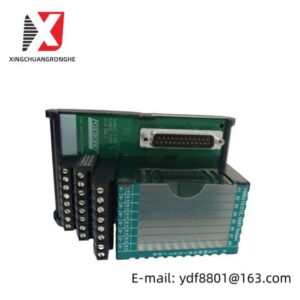 FOXBORO P0916KF0B - Advanced Control Module for Industrial Automation