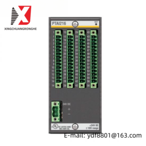 BACHMANN PTA1216 Temperature Input Module