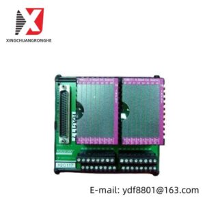 Foxboro P0916BT - I/A Series Control Module